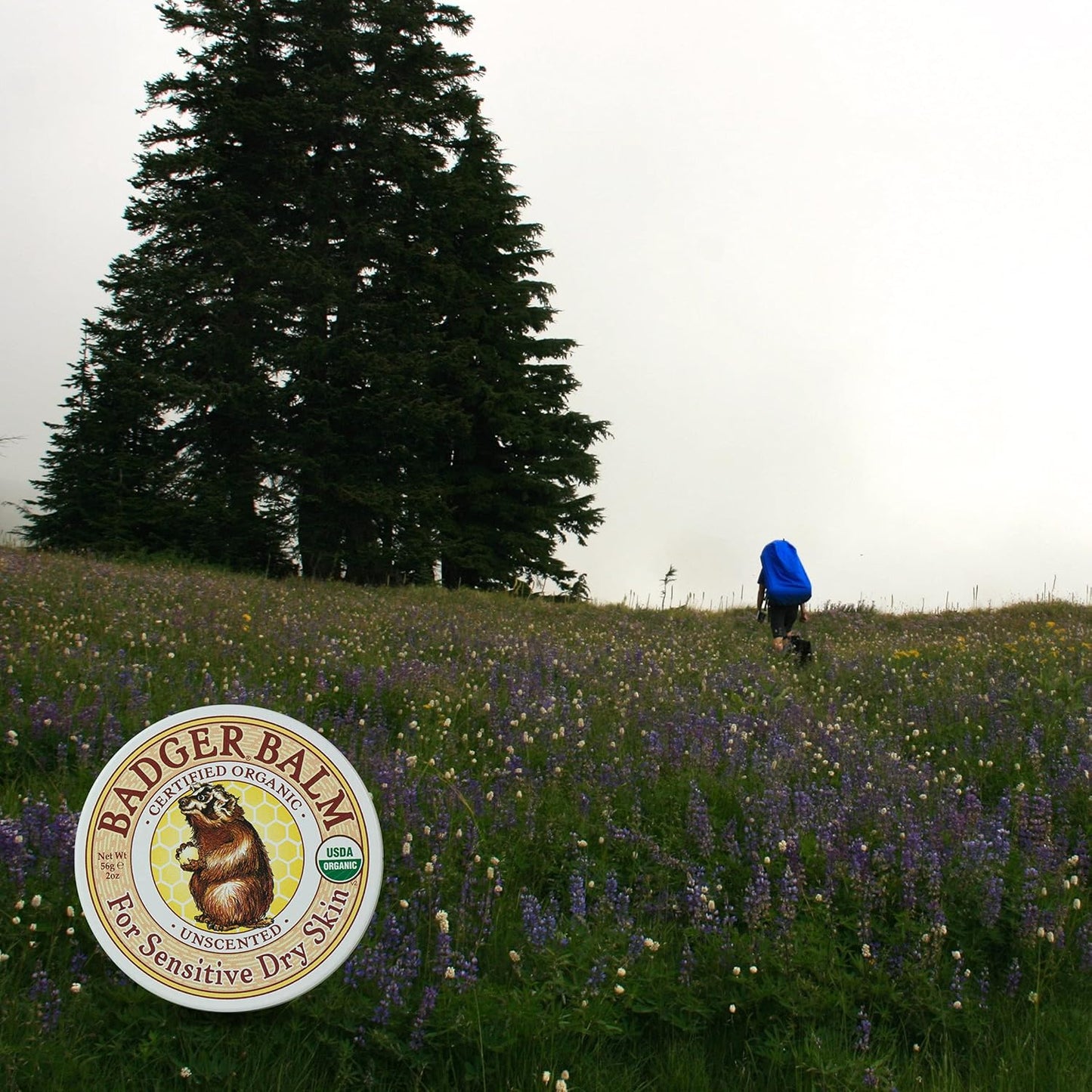 Badger Balms 无香膏 56 克