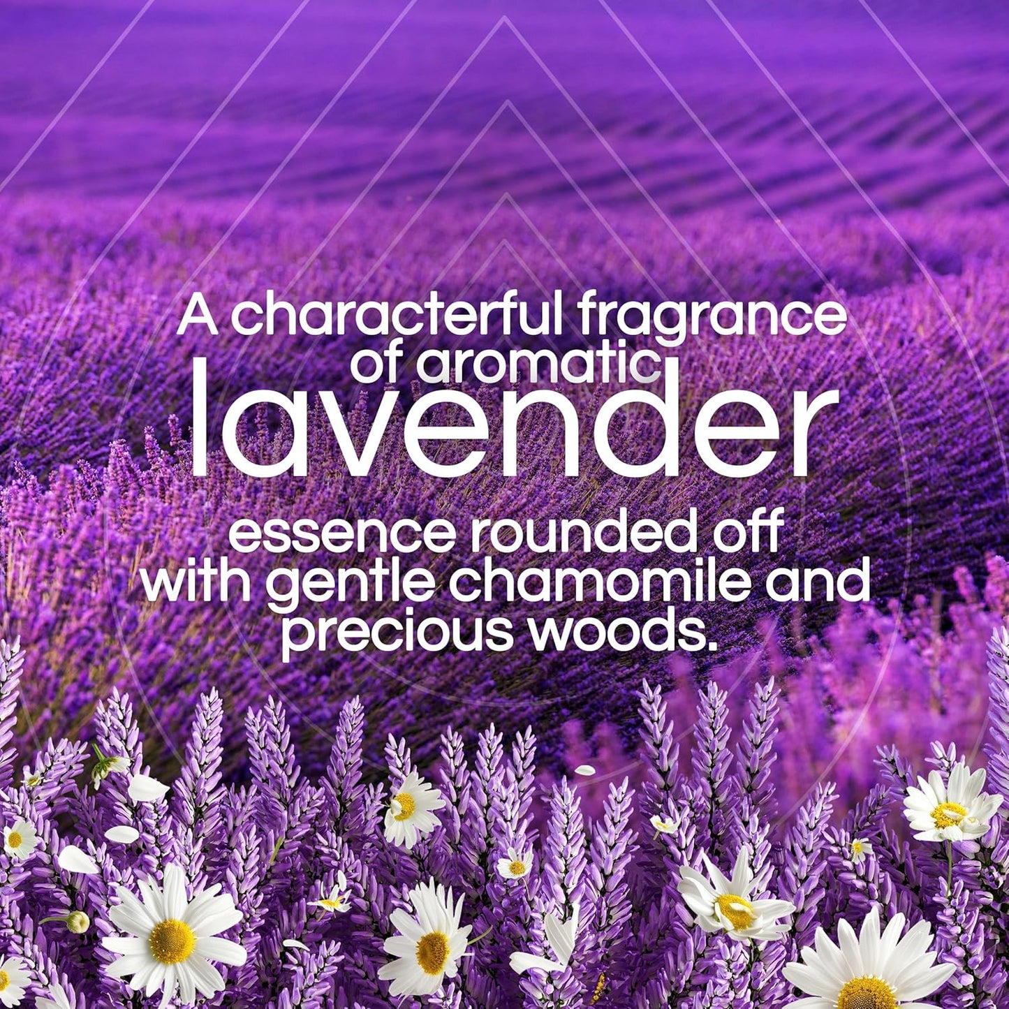 Airwick Plug In Scented Oil Refill, Lavender & Chamomile, Infused With Natural Essential Oils, (2x20 ml)