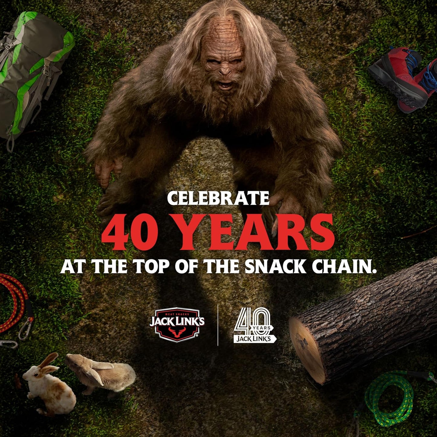 Jack Link's MSG Free Turkey Jerky, Original, 2.85 Ounce