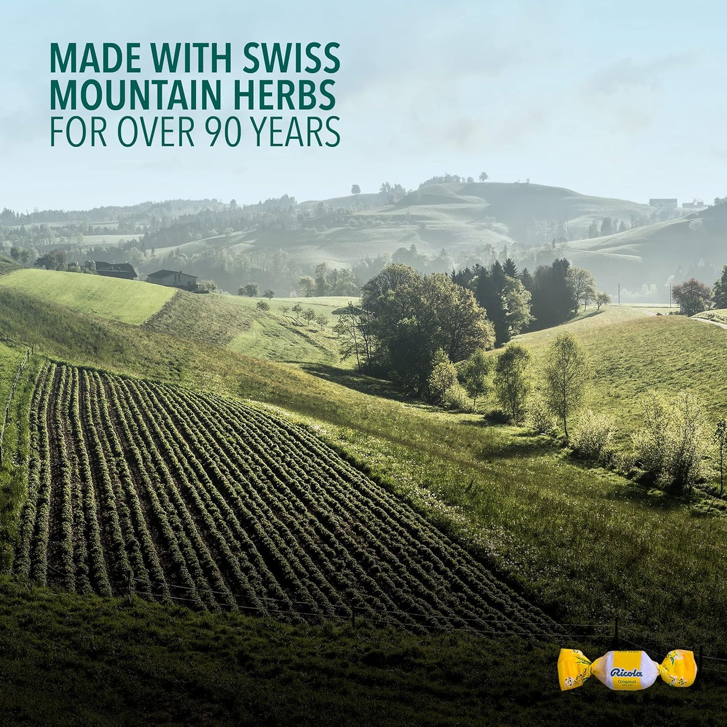 利口乐山草本无糖止咳糖