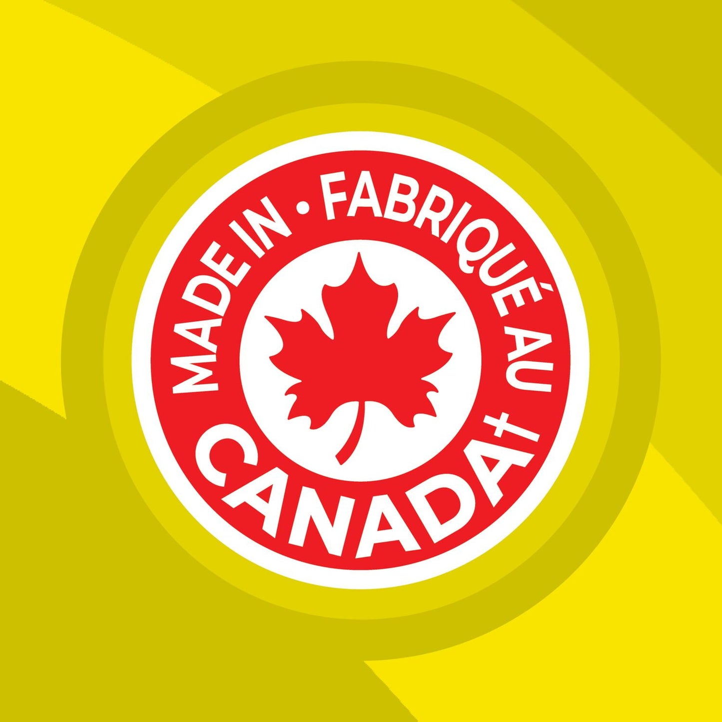 Lay's Dill Pickle flavoured Potato Chips, 220 g.