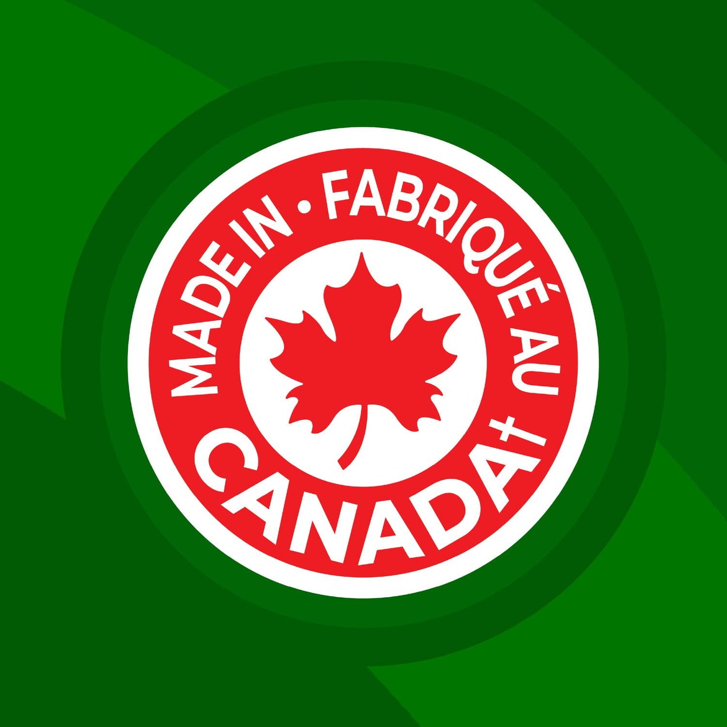 Lay's Sour Cream & Onion flavoured Potato Chips, 220 g.