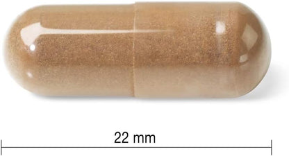 Jamieson Mushroom Complex, with Reishi, Lion's Mane, Chaga, Shiitake, and Garlic. Supports Immune Health, Energy, Resistance to Stress, and Heart Health, Non-GMO, Gluten-Free, 60 Capsules, Proudly Canadian