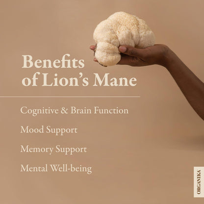 Organika 加拿大制造狮鬃菇 - 超强有机蘑菇提取物 - 2800 毫克 - 益智，天然支持记忆力、情绪、神经保护和认知 - 120 粒胶囊，120 天用量