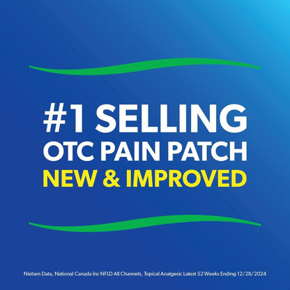 Salonpas Pain Relieving Patch Large, 6 count