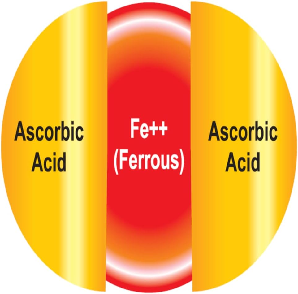 EBMfer 鐵劑，含維生素 C | 每日 1 粒 | 溫和 | 純素 | 提升能量 | 100 毫克高效能 | 30 粒膠囊
