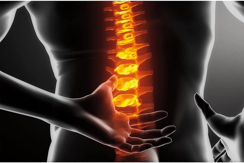 Conair ECB02RNC-LAV 电气石冷热可重复使用肌肉舒缓包