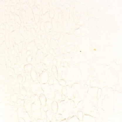 Splendor Garden 有機竹芋粉 - 454 克