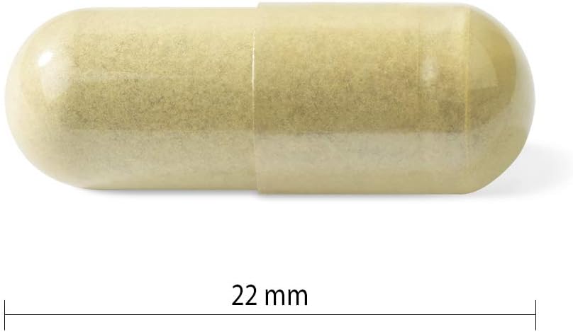 漸進式維生素 C 複合物 600 毫克，脂溶性緩衝維生素 C，含生物類黃酮、全食物抗氧化劑和胡椒鹼，用於增強免疫系統和抗氧化，加拿大製造，純素，非轉基因，120 粒素食膠囊