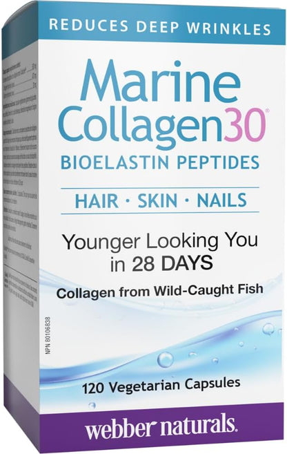 Webber Naturals Collagen30 海洋生物彈性蛋白勝肽，每粒含 500 毫克 Collactive 海洋膠原蛋白勝肽複合物，120 粒膠囊，有助於減少深層皺紋和關節疼痛