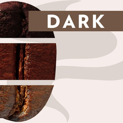 Lavazza Perfetto 研磨咖啡混合物，中度烘焙，非转基因，100% 阿拉比卡咖啡豆，口感浓郁 - 6 x 340 克