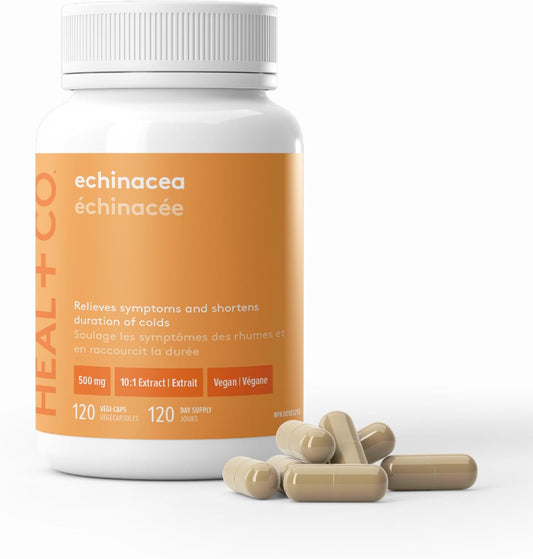 HEAL + CO. Echinacea Supplement | High Potency 10:1 Extract, 5000 mg per serving | Immune Support | 120 x 500 mg Capsules