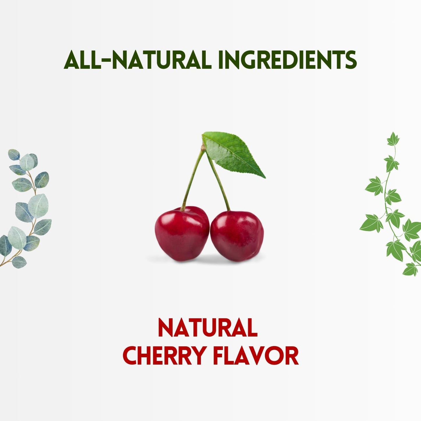 Herbion Naturals 无糖止咳润喉糖，天然樱桃味，25 粒润喉糖 - 缓解咳嗽和鼻塞；舒缓咽喉痛；适用于成人和 12 岁及以上儿童