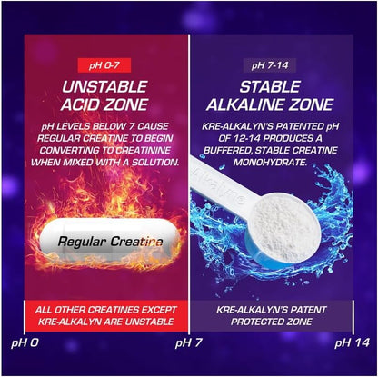 EFX Sports Kre-Alkalyn 粉 500 克，PH 值校正肌酸一水合物 | 多項專利配方，增強力量、鍛鍊肌肉、提升運動表現，無味 500 克