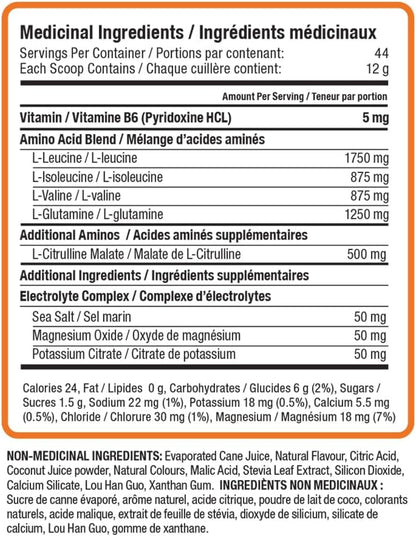NutraPhase Clean BCAA, Vegan-Friendly, Gluten-Free, Sour Peach, 44 servings, 528 grams