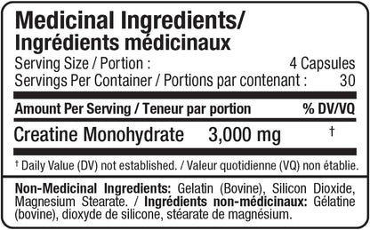 ALLMAX Nutrition - 肌​​酸 3000，肌酸一水合物胶囊，用于增强力量和肌肉恢复，无麸质且快速吸收，3000 毫克，120 粒胶囊