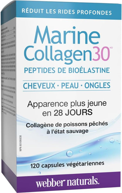 Webber Naturals Collagen30 海洋生物彈性蛋白勝肽，每粒含 500 毫克 Collactive 海洋膠原蛋白勝肽複合物，120 粒膠囊，有助於減少深層皺紋和關節疼痛