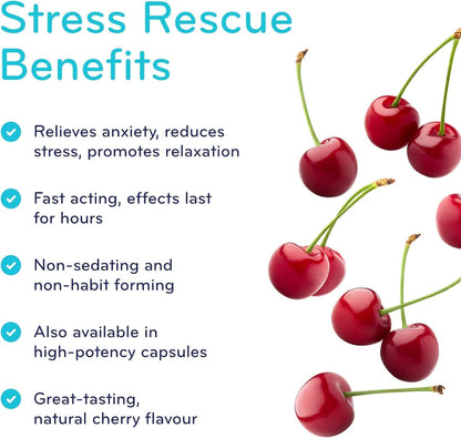 SISU Stress Rescue L-Theanine Chewable Tablet, 30 Count (Pack of 1)