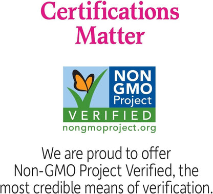 Garden of Life Raw Organic Perfect Food Green Superfood Original 207 gram."Raw Organic Perfect Food & Dr. Formulated Probiotics Once Daily Women's | Supports Women's Gut Health