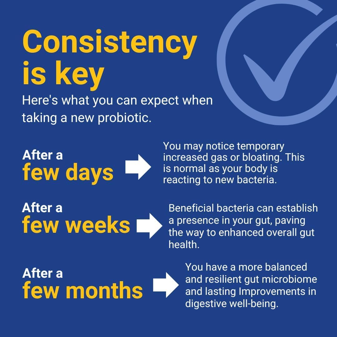 600億菌落形成單位益生菌：促進消化和腸道健康 - 緩解偶發性便秘、腹瀉、脹氣和腹脹 - 增強免疫力 - 高效配方，男女皆宜。 See Yourself Well 出品。 60粒