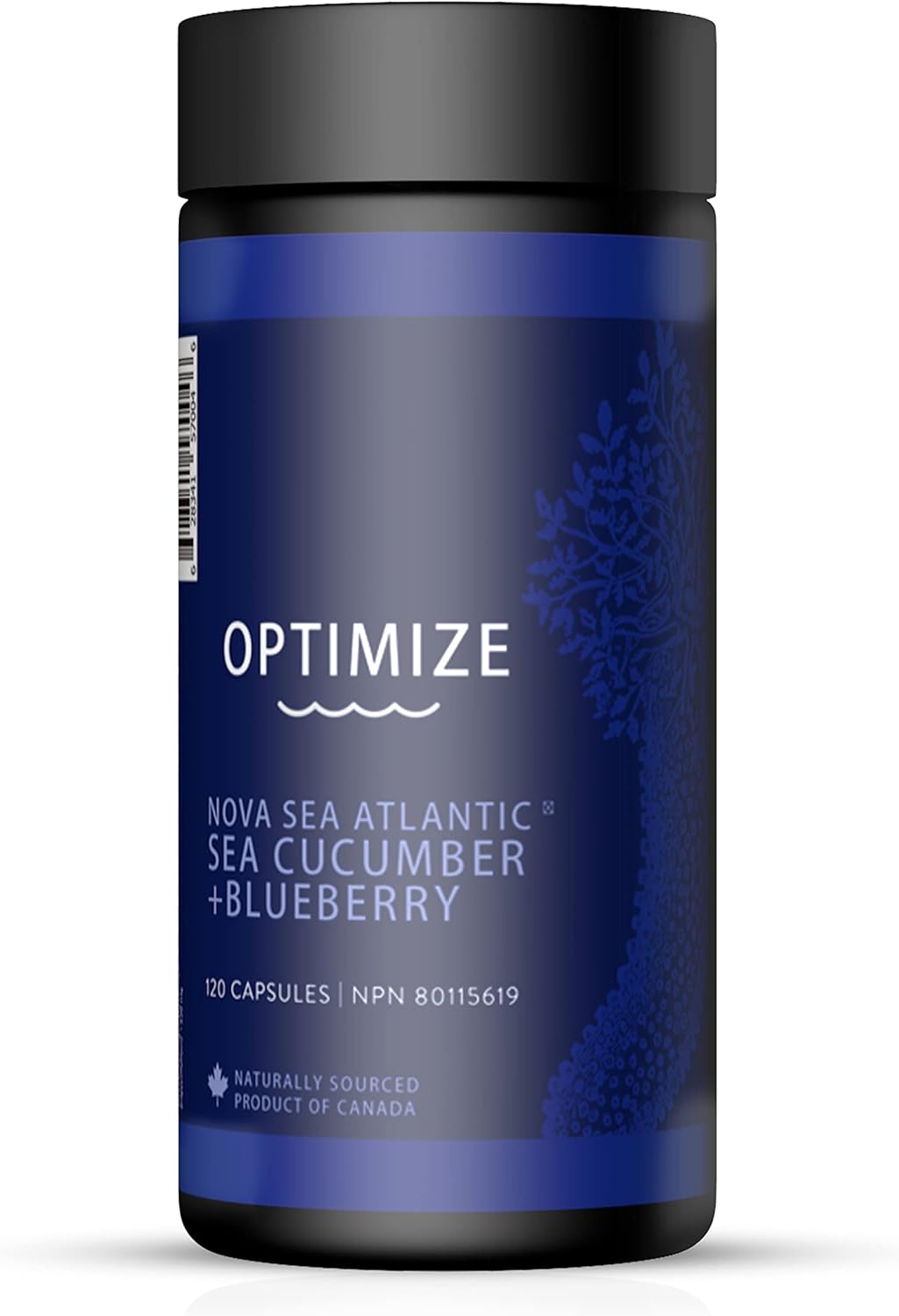 Premium Sea Cucumber + Canadian Blueberry Supplements by Nova Sea Atlantic | Helps with Impaired Vision, Eye Strain & Vision Loss | Immune Support and Anti-Aging Supplement | Blueberry Powder for Dry Eyes Protection | Na…