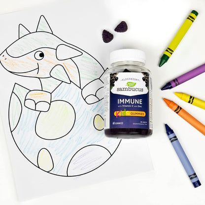 Nature's Way 接骨木免疫感冒和流感護理接骨木軟糖，維生素 C 和鋅，4 歲以上兒童適用；以及接骨木免疫原味感冒和流感護理接骨木軟糖，維生素 C 和鋅，成人和 4 歲以上兒童適用