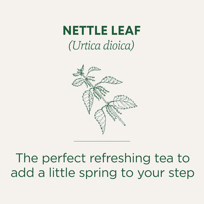 Traditional Medicinals - Organic Nettle Leaf Herbal Tea (Pack of 6) - Sustainably Sourced Fair Wild Nettle - 96 Tea Bags Total
