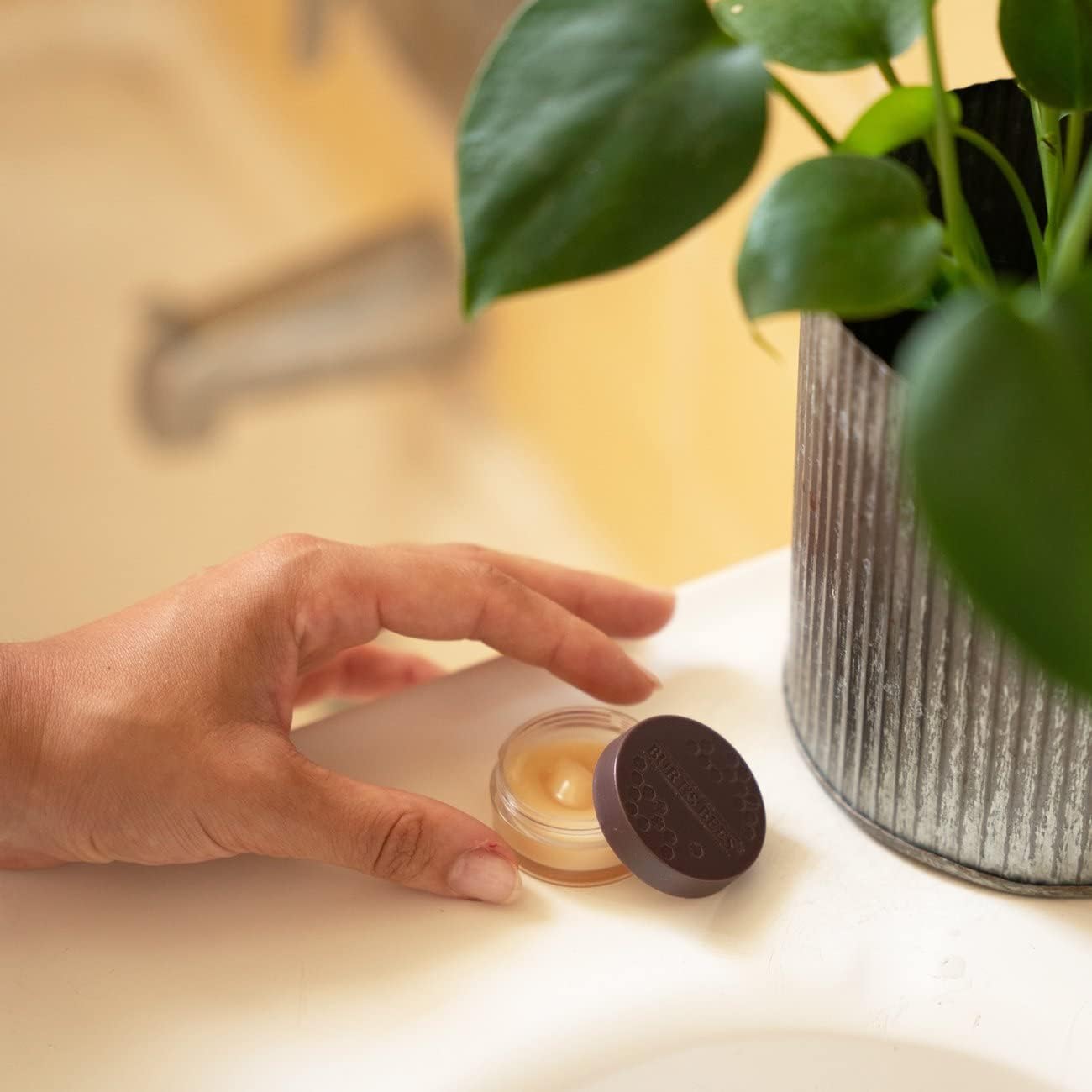 Burt's Bees 100% 天然润唇磨砂膏，含去角质蜂蜜晶体 - 0.25 盎司