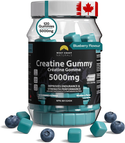 West Coast Naturals 肌酸一水合物软糖 5000 毫克 - 蓝莓味，无添加糖，男女适用咀嚼补充剂，纯素 - 犹太洁食认证 - 120 粒