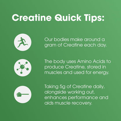 Optimum Nutrition 100% 純肌酸一水合物微粉，無味，600 克 - 120 份（包裝可能有所不同）