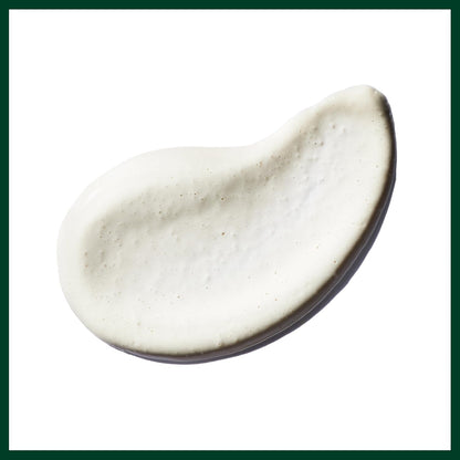 Aveda Botanical Kinetics 焕肤精华液 | 粘土面部磨砂膏 | 去角质并激活肌肤 | 含电气石，100ml