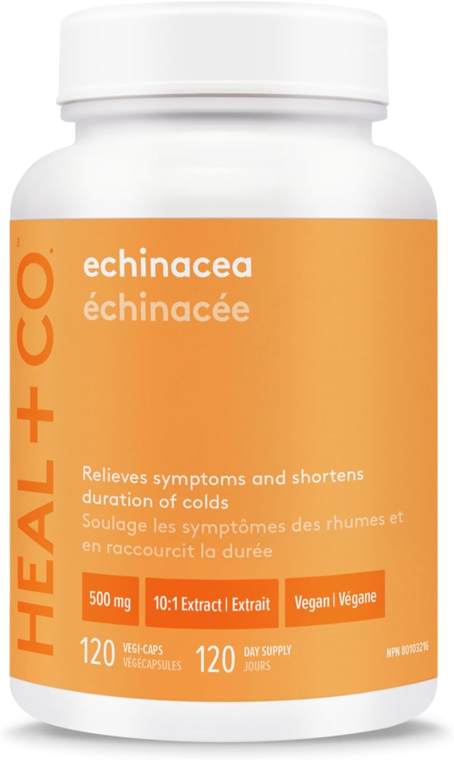 HEAL + CO. 紫锥菊补充剂 | 高效 10:1 提取物，每份 5000 毫克 | 免疫支持 | 120 x 500 毫克胶囊