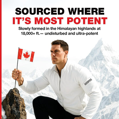 強效喜來芝膠囊 500 毫克 | 更強效的 20:1 萃取物 | 20000 毫克 D.H.E | 男女適用純喜馬拉雅喜來芝囊 | 50% 黃腐酸和 85+ 種微量礦物質 | 120 粒膠囊 | 能量、耐力和活力支持 | 產於…