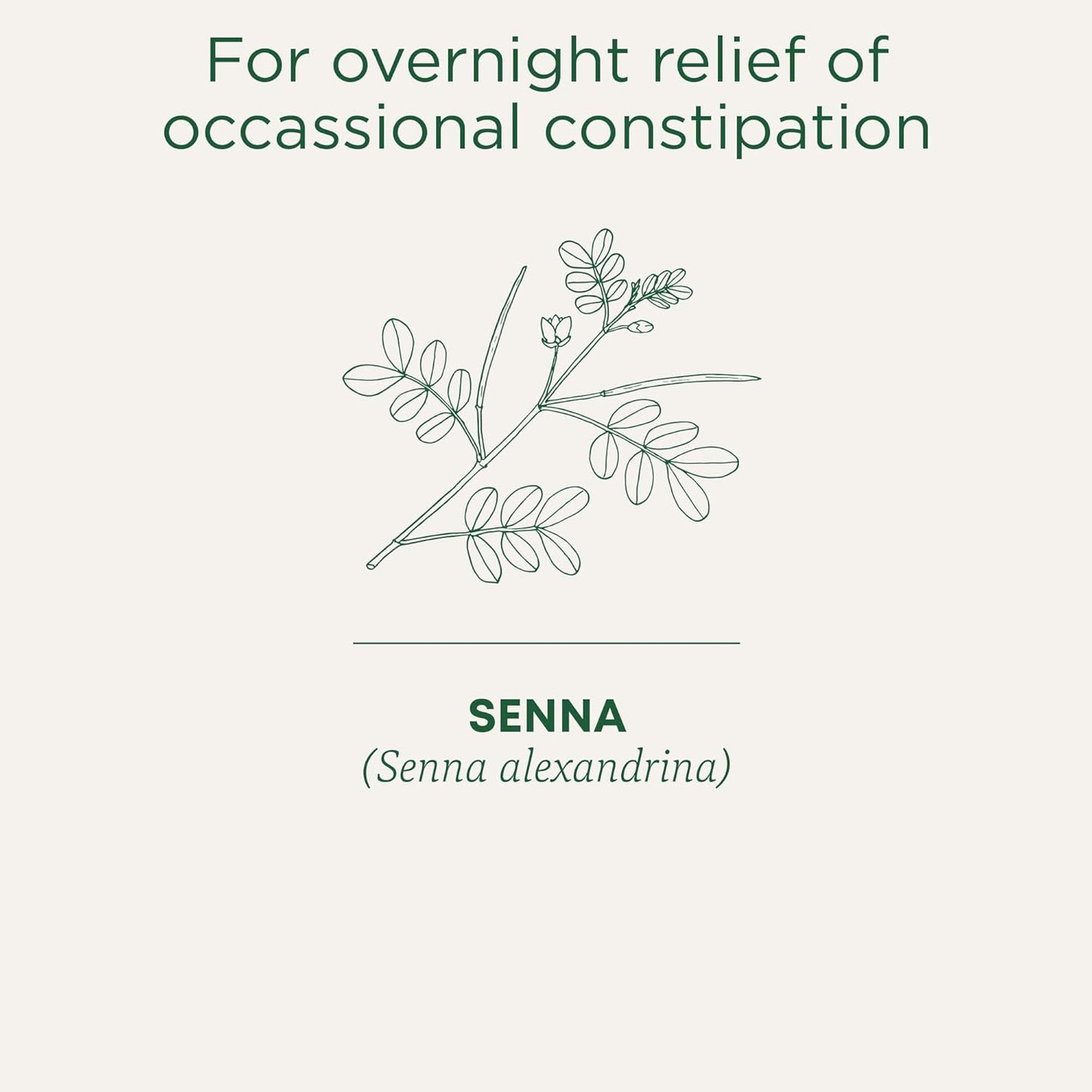 Traditional Medicinals - 有機 Smooth Move 瀉藥草本茶（6 包）- 夜間溫和緩解偶發性便秘 - 共 96 個茶包