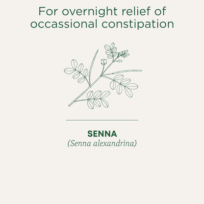 Traditional Medicinals - 有機 Smooth Move 瀉藥草本茶（6 包）- 夜間溫和緩解偶發性便秘 - 共 96 個茶包