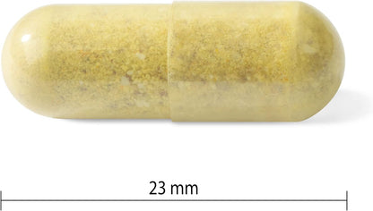 Progressive Advanced 活力男士每日复合维生素，含槲皮素、玛卡、南非醉茄和西伯利亚人参。支持免疫健康、肌肉功能和能量，100% 完整配方，加拿大制造，60 粒装