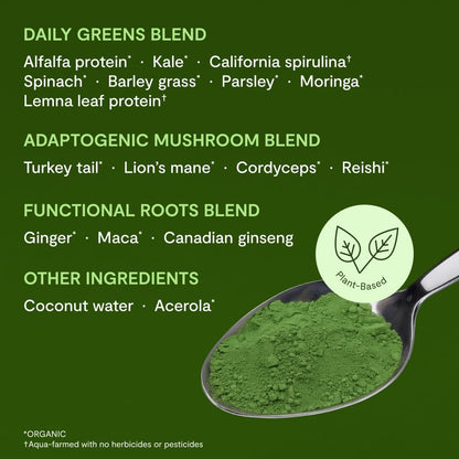 Landish Adaptogenic Greens Powder - Canadian-Grown Organic Greens, Spirulina, Functional Roots & Mushrooms - Energy, Digestion & Immunity - Vegan, Gluten & Caffeine-Free - Made in Canada - 180 g
