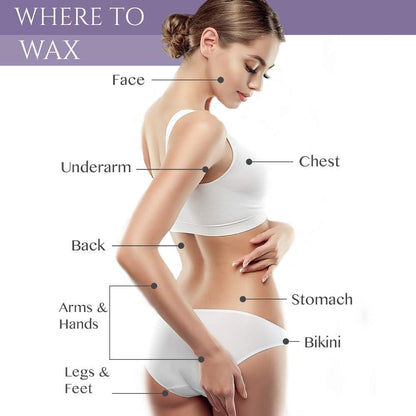 緞面光滑蘆薈花盆蠟，14 盎司