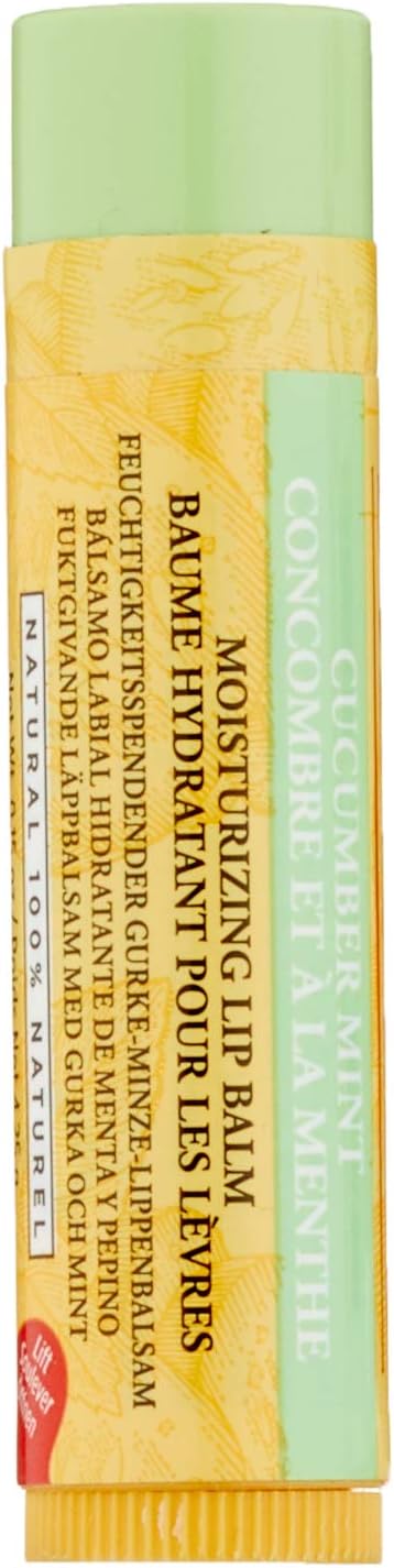 Burts Bees 女士黃瓜薄荷保濕唇膏 - 0.15 盎司