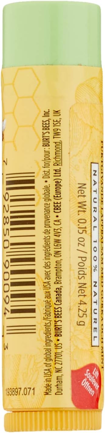 Burts Bees 女士黃瓜薄荷保濕唇膏 - 0.15 盎司