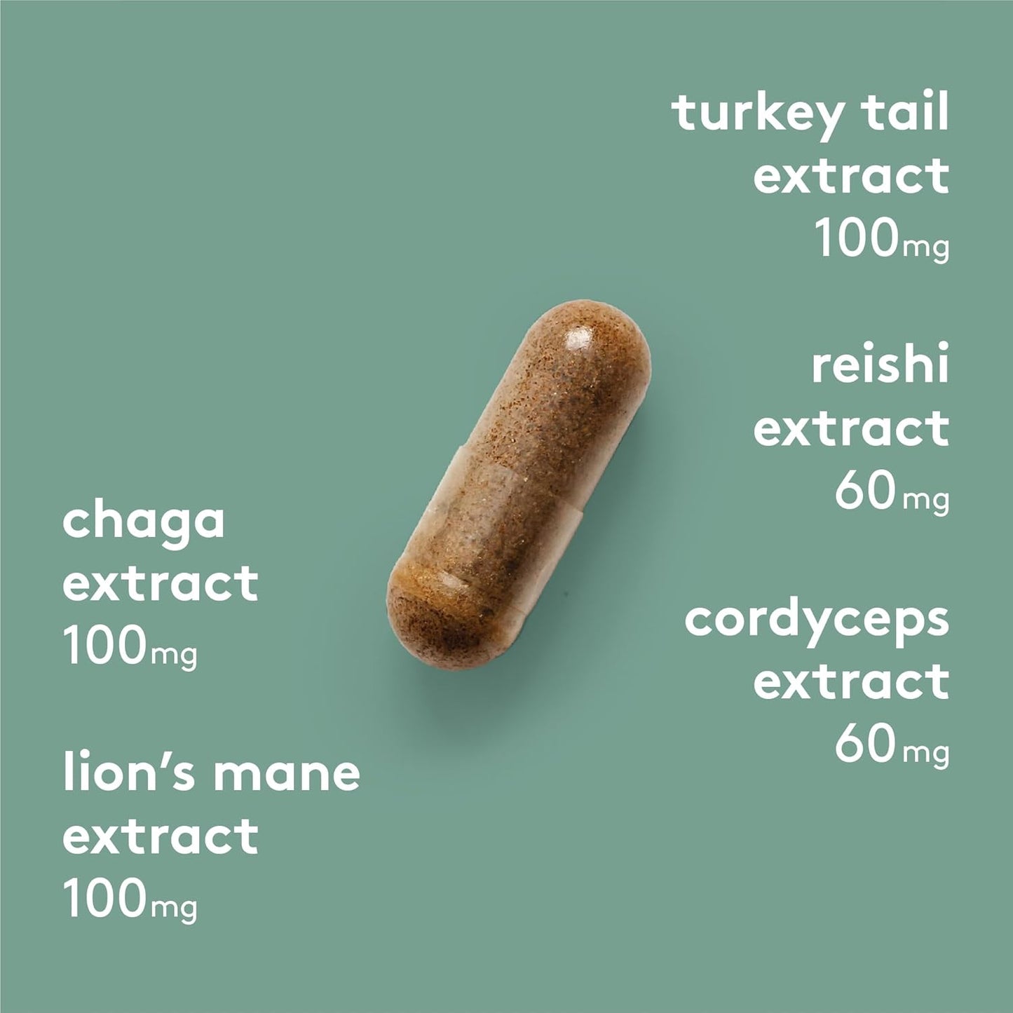 HEAL + CO. 超级蘑菇复合物 | 能量 + 免疫支持补充剂 | 5 种强效蘑菇提取物 - 白桦茸 + 猴头菇 + 火鸡尾菇 + 灵芝 + 冬虫夏草 | 120 x 500 毫克胶囊