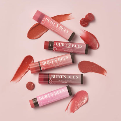 Burt's Bees 100% 天然有色润唇膏，木兰与乳木果油 - 1 管 1 支