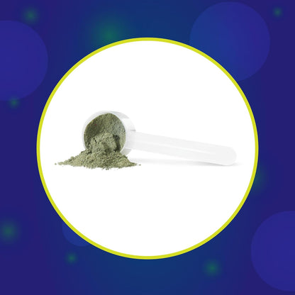 Progressive VegeGreens 清洁能源天然浓郁橙味 485 克 | 促进能量生产，提高警觉性和认知功能