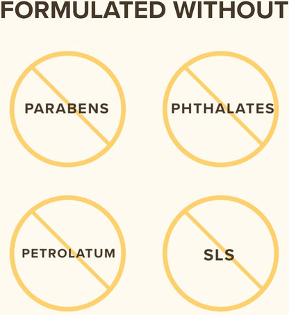 Honey Moisturizing Lip Balm Blister by Burts Bees for Unisex - 0.15 oz Lip Balm