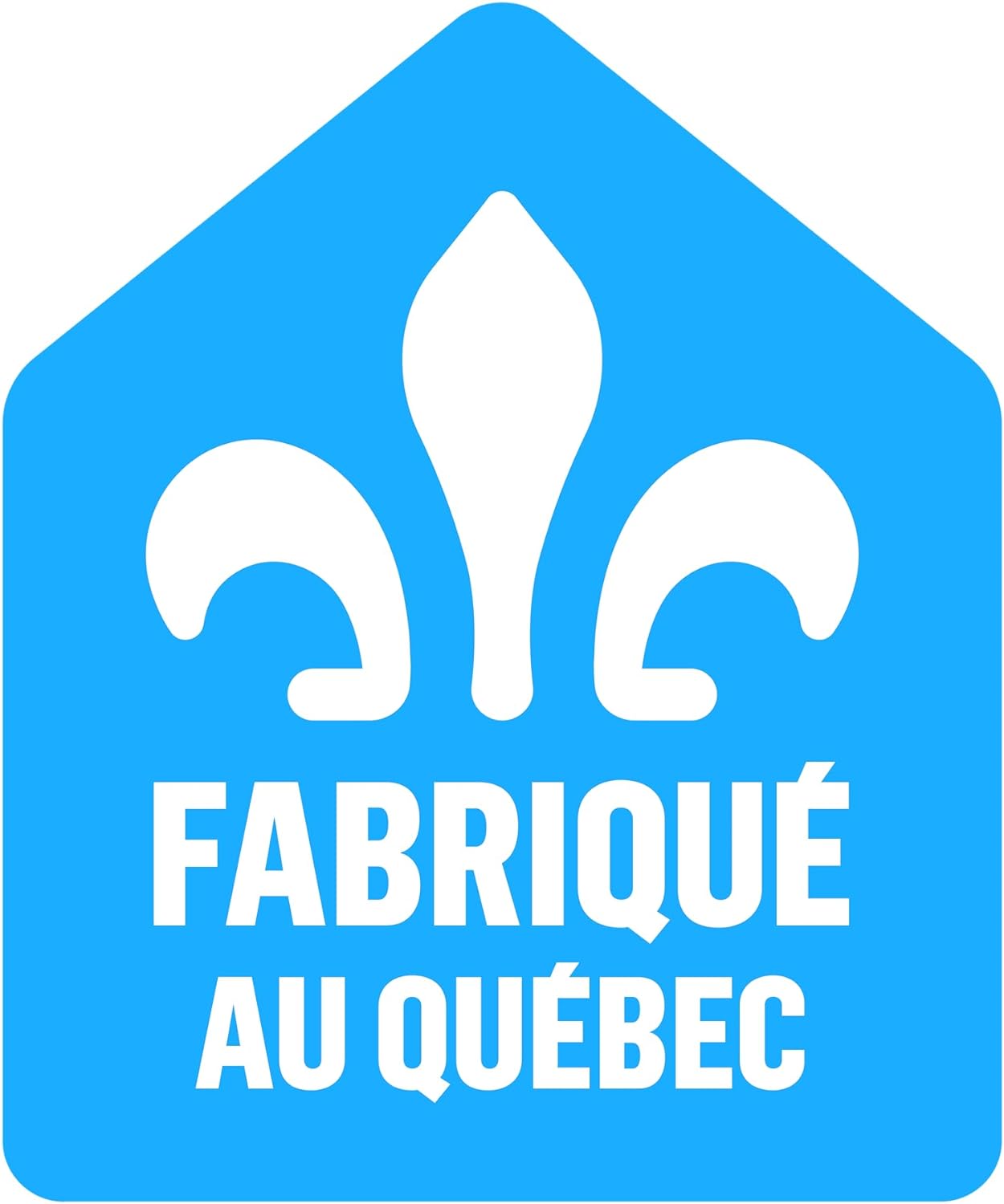 魔法袋旅行垫，蓝色，0.5磅