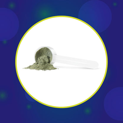 Progressive VegeGreens 清洁能源天然酸橙味 242 克 | 促进能量生产，提高警觉性和认知功能