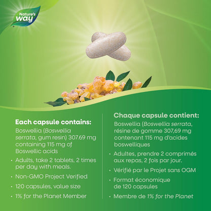 Nature's Way Boswellia, Helps Relieve Osteoarthritic Pain, 120 Vegetarian Tablets, Value Size