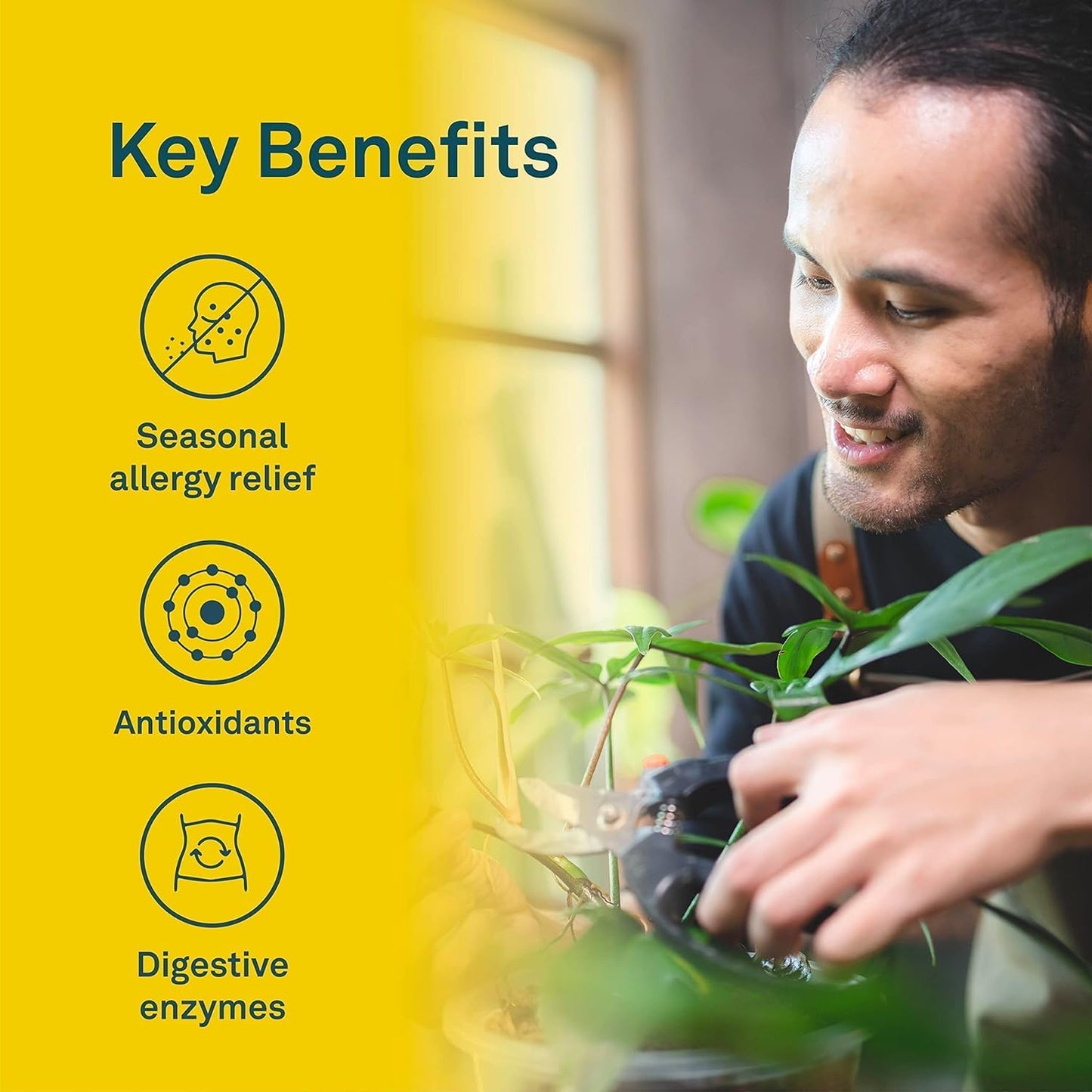 Organika 加拿大製造槲皮素與鳳梨蛋白酶 - 高可用性，支持免疫系統，支持過敏和發炎 - 60 片