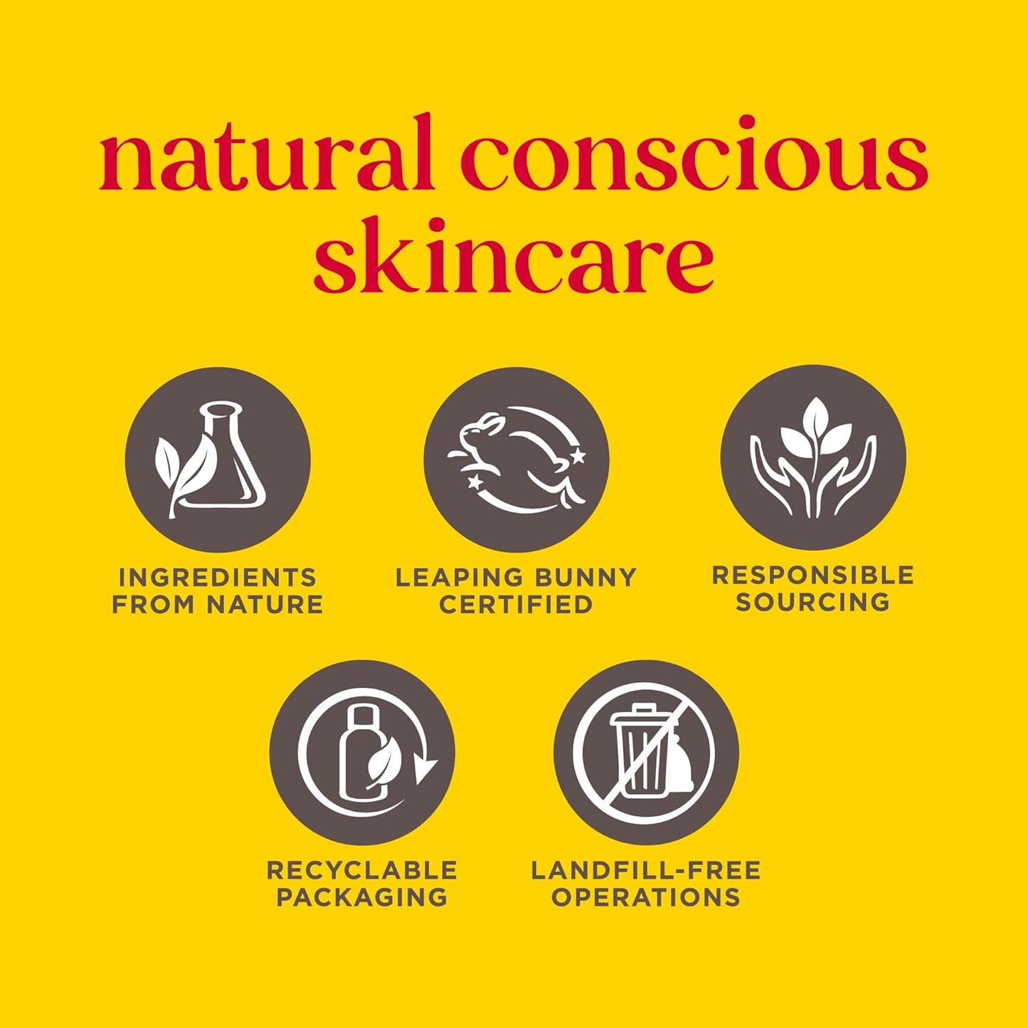 Burt's Bees 100% 天然保湿润唇膏，适用于干裂嘴唇，唇部护理，柔软光滑双唇，1 支装 - 生日蛋糕