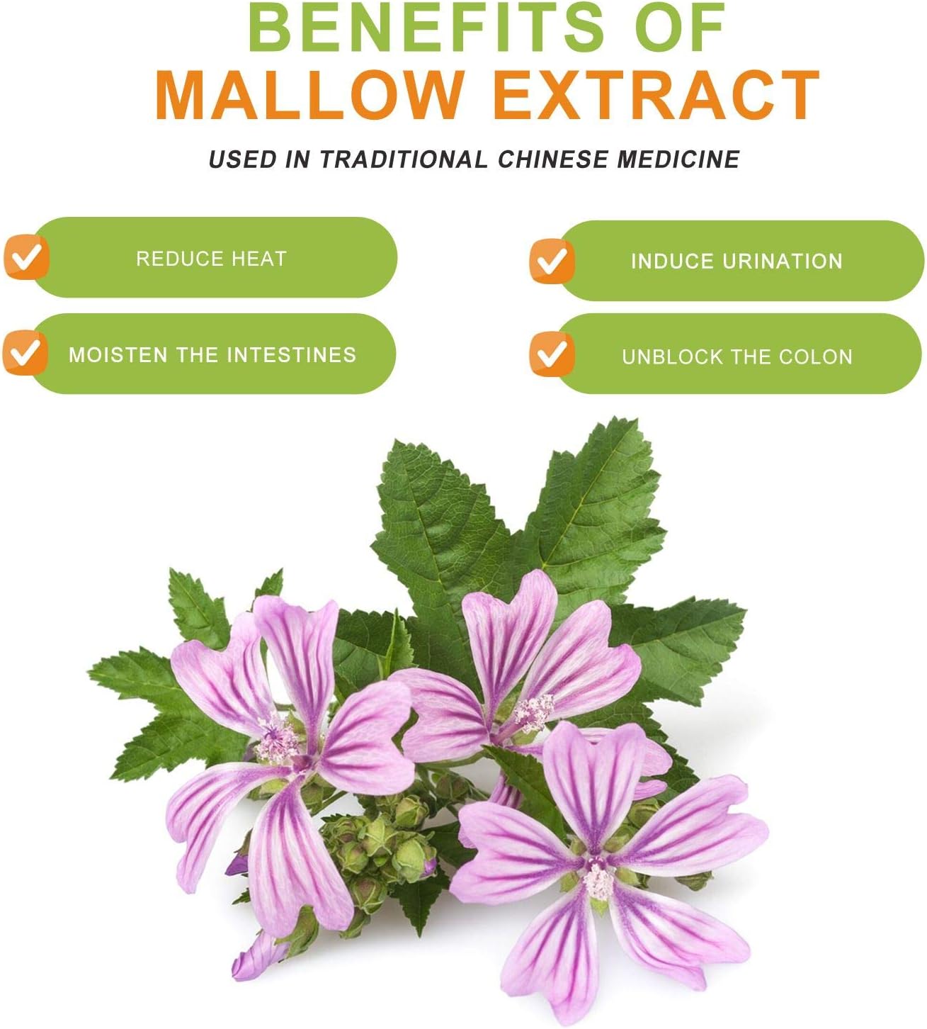 锦葵提取物 Malva 450毫克 90粒胶囊 结肠清洁、软化大便、缓解便秘 NPN 80057790